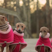 1896865_10153682989966726_3668106985411763644_n