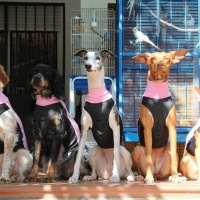 1396047_10201439661925735_1380330198_n