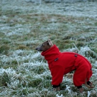 1475888-10202533511369721-2108144097-n