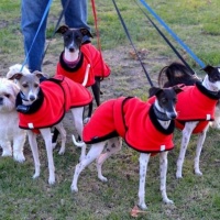 1457628-10200208175245859-1722813563-n