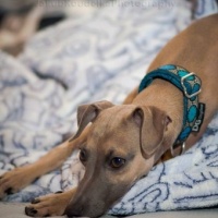 1425754-10200597200083374-436205274-n